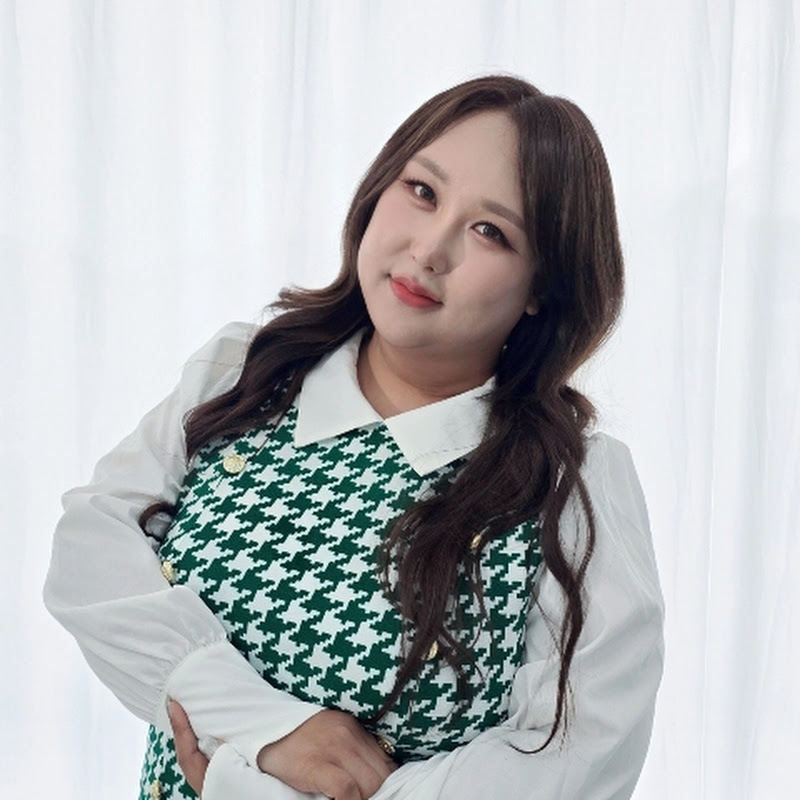 풍자테레비