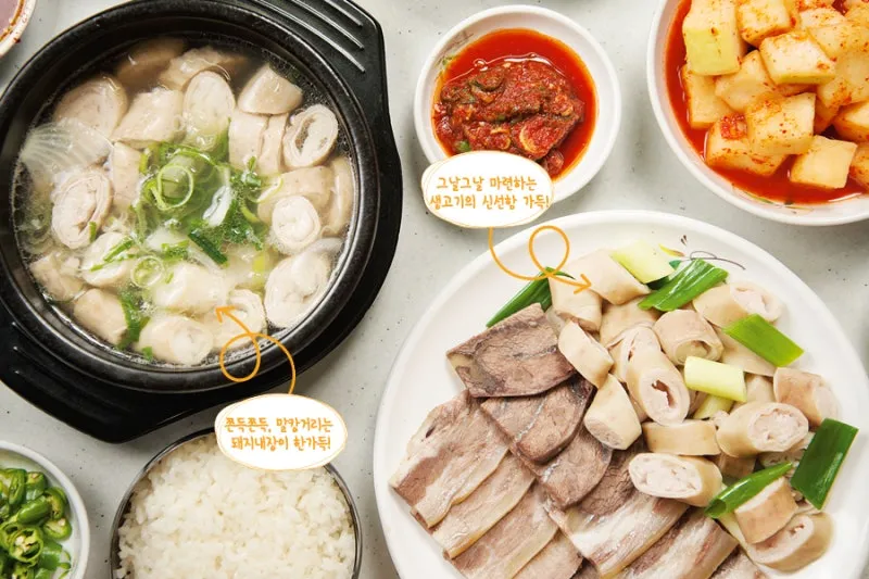 2026-06-05 - 홍성 홍흥집·동백회수산
