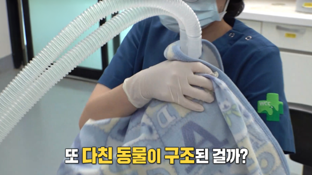 4017회 - 도심에서 이색 더위 탈출 유평리백숙집 향동점