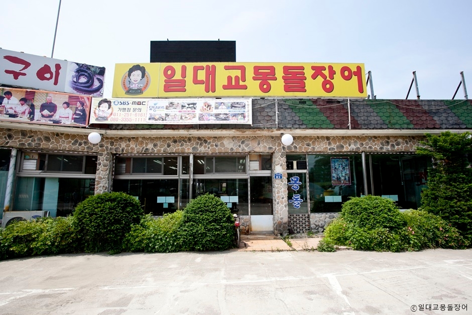 일대교몽돌장어