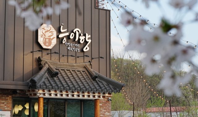 4007회 - 능이향 용인양지본점·콩마당 오산본점