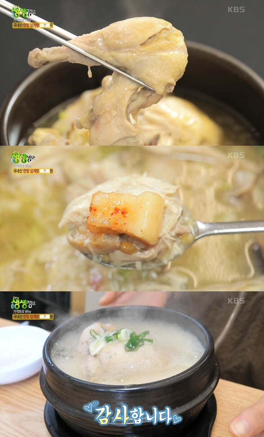236회 - 포항 가성비 여행 구구삼계탕 본점